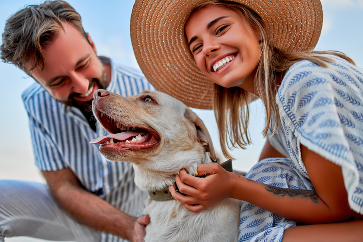 Pet friendly Florida Keys vacation rentals