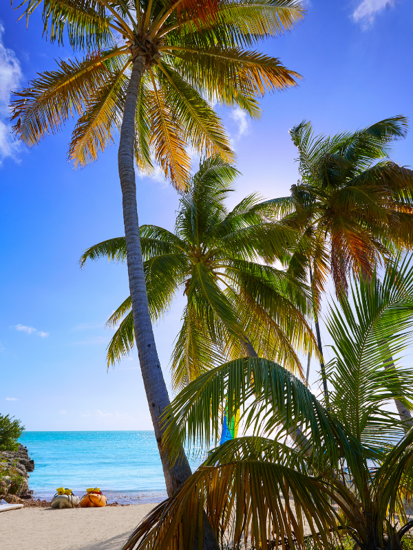 Key West vacation rentals with a private pool, tropical landscaping, and historic island-style home
