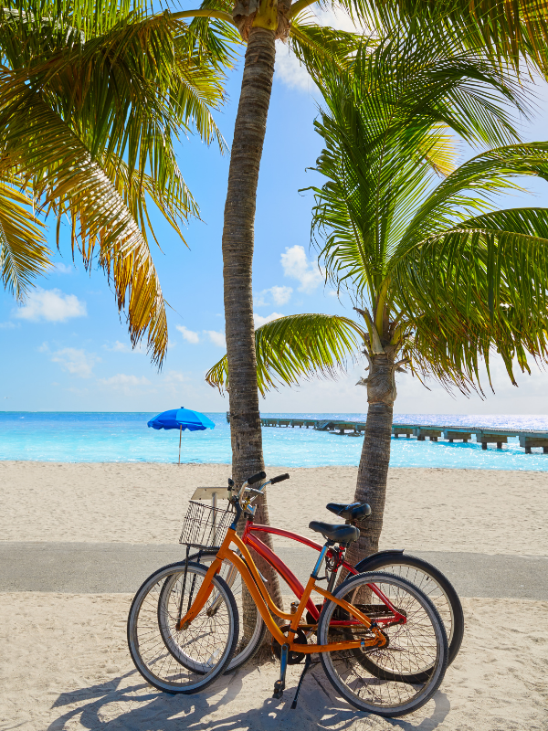 Marathon FL vacation rentals in the Middle Keys with turquoise water, palm trees, waterfront homes, and boating access