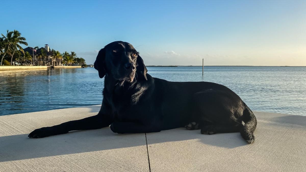 About Seven Keys Vacations in the Florida Keys